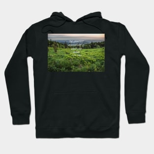 The greatest adventure 2 Hoodie